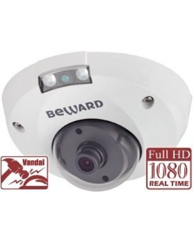 NK55630D8. IP-камера купольная. Beward в Смоленске