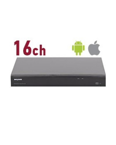 RK2216. Видеорегистратор IP 16-канальный. Beward в Смоленске