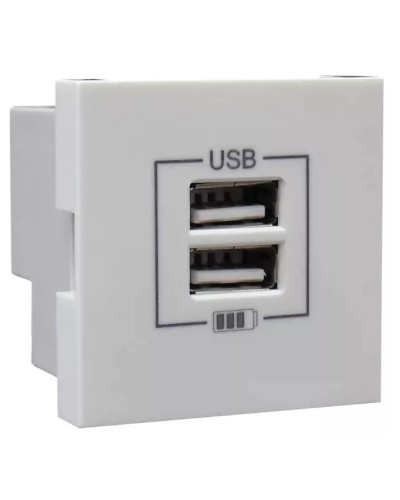 Розетка USB двойная, зарядная, белая (45439 SBR): Розетка USB двойная в Смоленске