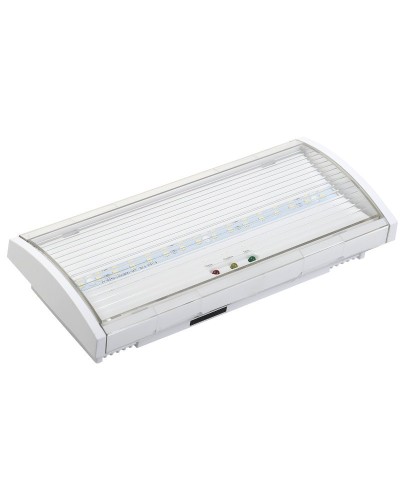 Светильник аварийный ДПА 5040-1 1ч IP54 LIGHTING (LDPA0-5040-1H-K01). Светильник аварийный постоянного действия. IEK в Смоленске