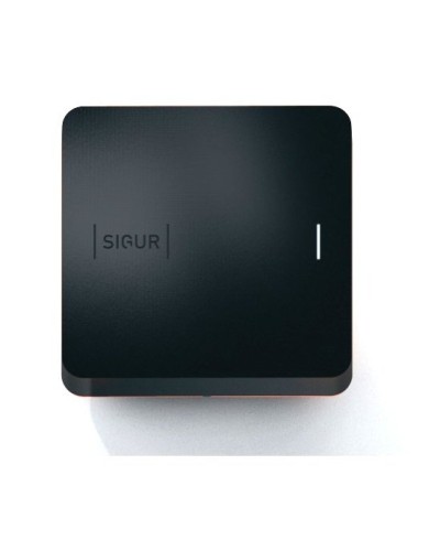 Sigur MR100 Multi. Считыватель. SIGUR в Смоленске