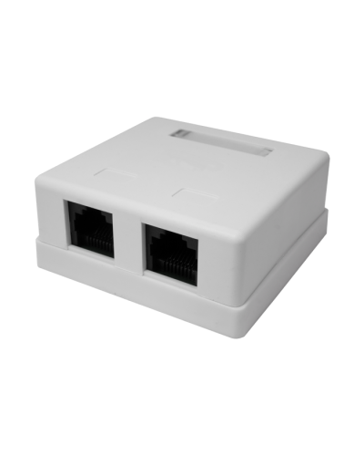 Розетка настенная RJ-45, 8P8C, Cat.5e, 2 порта UTP (10-0309): Компьютерная розетка в Смоленске