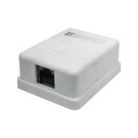 Розетка настенная RJ-45, 8P8C, Cat.5e, 1 порт UTP (10-0307): Компьютерная розетка