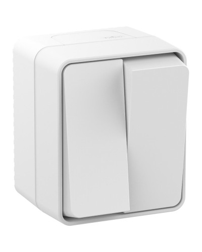 AtlasDesign PROFI54 выключатель 2-клавишный, открытой установки, белый (ATN540151). Выключатель. Systeme Electric в Смоленске
