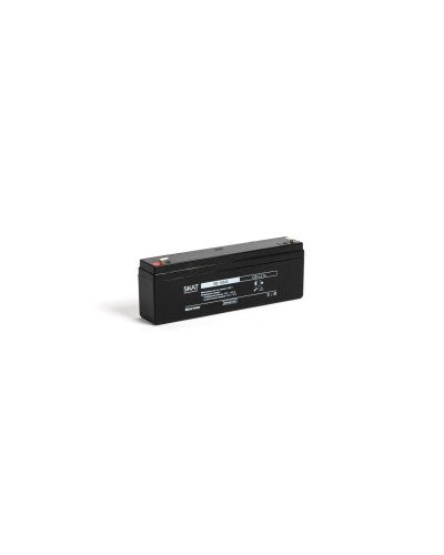 SKAT SB 12022 (2539). Аккумулятор герметичный свинцово-кислотный. Бастион в Смоленске