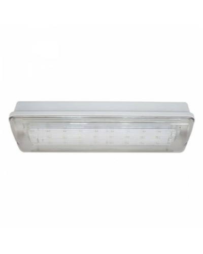 SL-223-30LED1.8 исп.1 IP54. Светильник аварийного освещения. ИП Раченков А.В. в Смоленске
