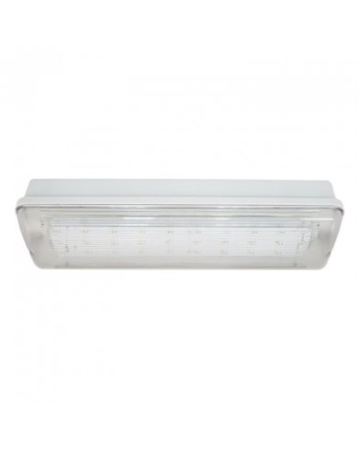 SL-223-30LED1.8 исп. 1, IP65. Светильник аварийного освещения. ИП Раченков А.В. в Смоленске